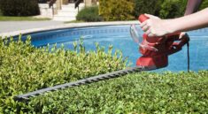 Beginner's Guide to Buying Hedging Trimmers